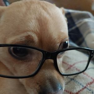 Meet your Posher, Jane